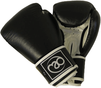 Gloves and Pads